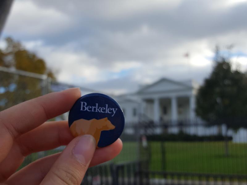 Berkeley Bear Pin held in front of the White House