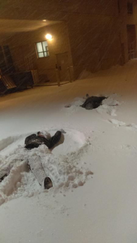 Householder making snow angels at night with another person