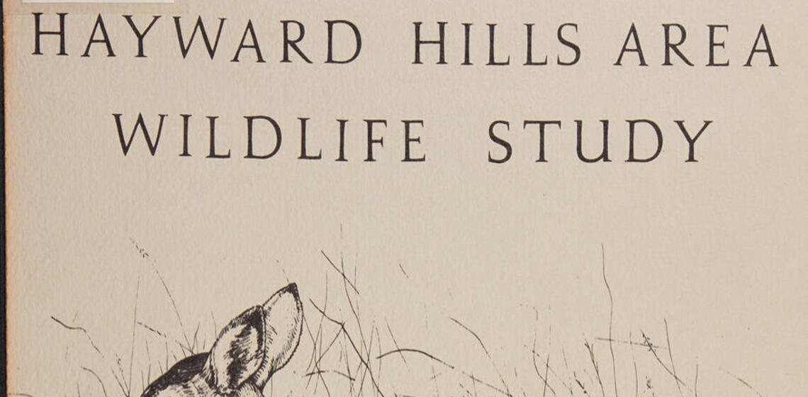 Hayward Hills area wildlife study